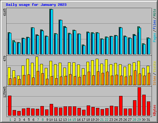 Daily usage for January 2023