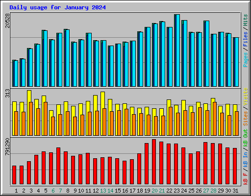 Daily usage for January 2024