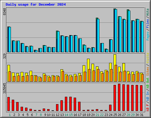 Daily usage for December 2024