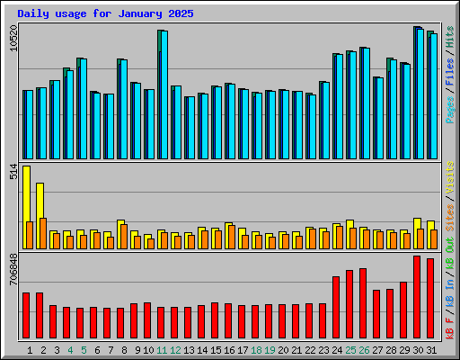 Daily usage for January 2025