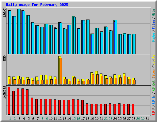 Daily usage for February 2025