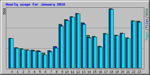 Hourly usage for January 2016