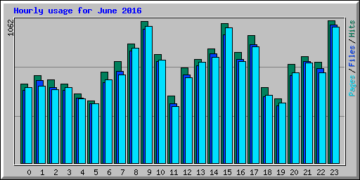 Hourly usage for June 2016