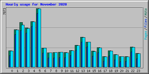 Hourly usage for November 2020