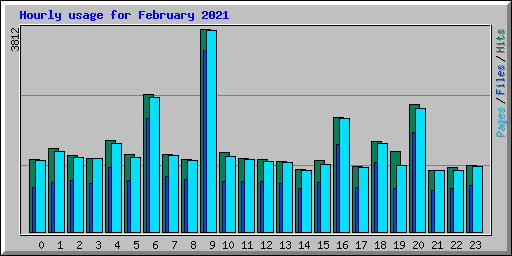 Hourly usage for February 2021