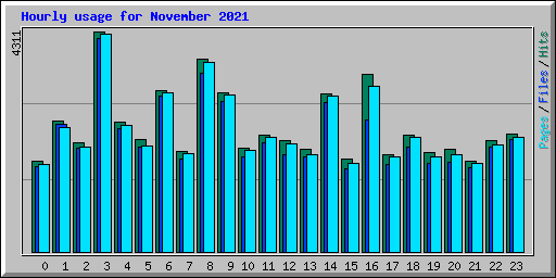 Hourly usage for November 2021