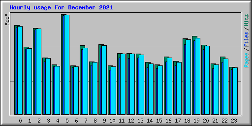 Hourly usage for December 2021
