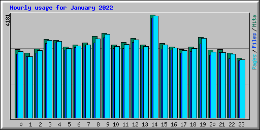 Hourly usage for January 2022