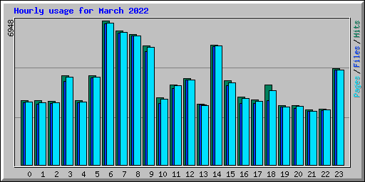Hourly usage for March 2022