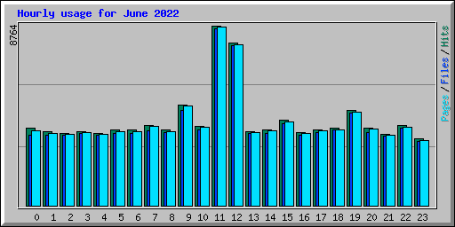 Hourly usage for June 2022