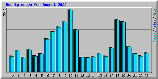 Hourly usage for August 2022
