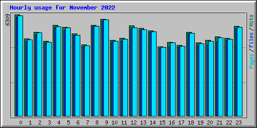 Hourly usage for November 2022