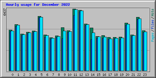 Hourly usage for December 2022