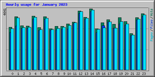 Hourly usage for January 2023
