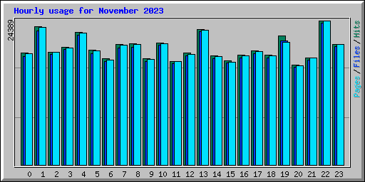 Hourly usage for November 2023