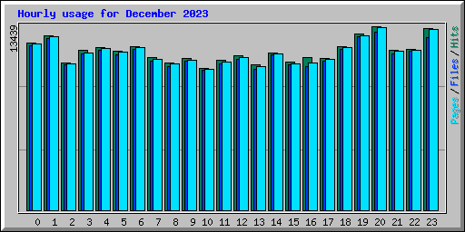 Hourly usage for December 2023