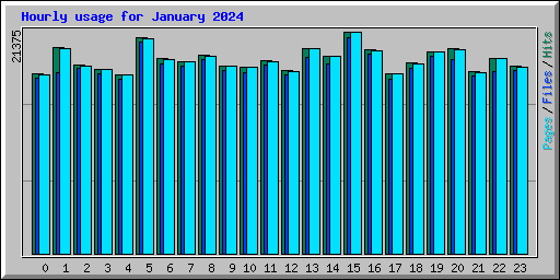 Hourly usage for January 2024