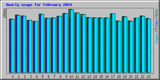 Hourly usage for February 2024