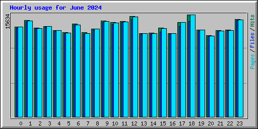 Hourly usage for June 2024