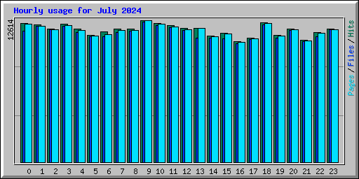 Hourly usage for July 2024