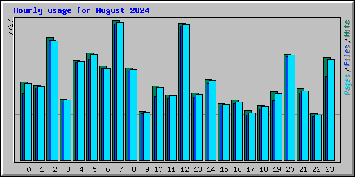 Hourly usage for August 2024