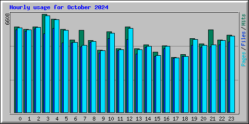 Hourly usage for October 2024