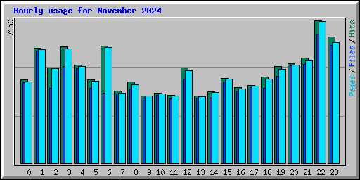 Hourly usage for November 2024