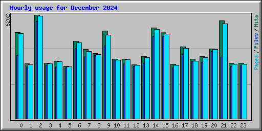Hourly usage for December 2024
