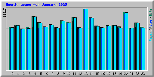 Hourly usage for January 2025