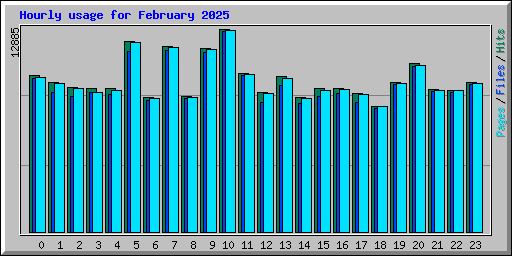Hourly usage for February 2025