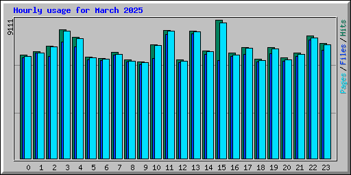 Hourly usage for March 2025