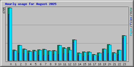 Hourly usage for August 2025