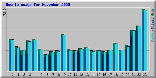 Hourly usage for November 2025