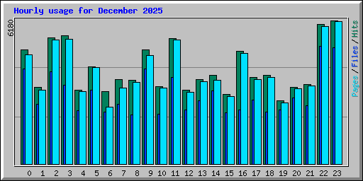 Hourly usage for December 2025