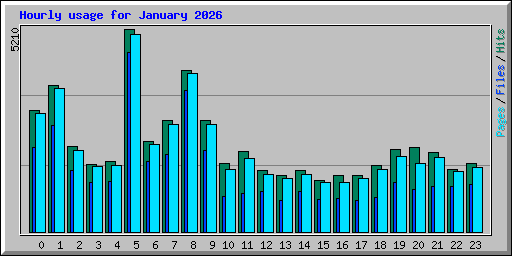 Hourly usage for January 2026