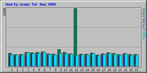 Hourly usage for May 2026